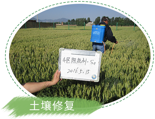 某化工股份有限公司土壤污染狀況調查
