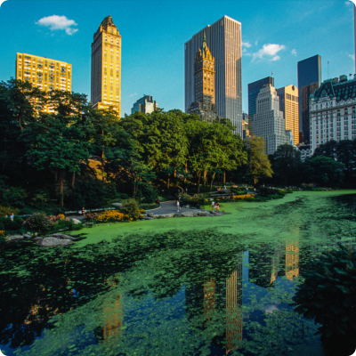 地下水污染修復(fù)