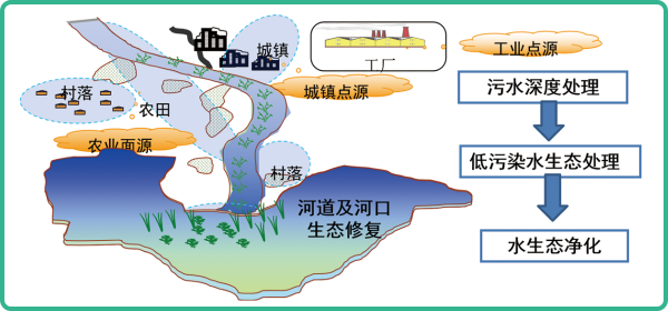 人工濕地，人工濕地建設