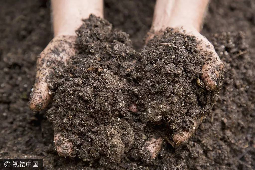 農(nóng)業(yè)用地 土壤污染 農(nóng)業(yè)用地 土壤污染