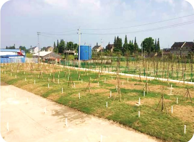 土壤治理圖片 土壤治理圖片