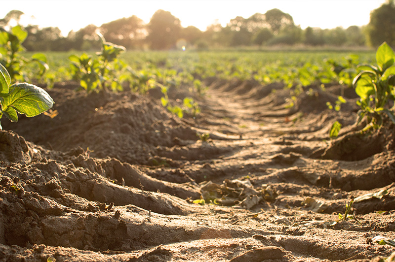 農用地污染情況 農用地污染情況